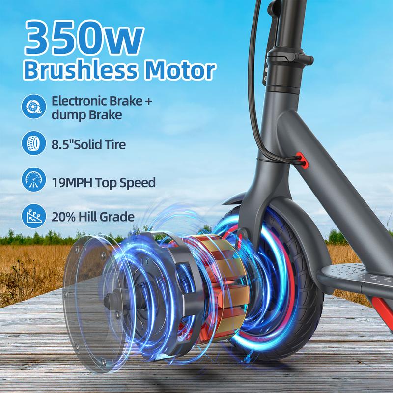 https://cdn-01.yolobuyer.com/products/1729649195107192943/pics/197dd7f7ee324cabb949eacfc24c989c.jpeg