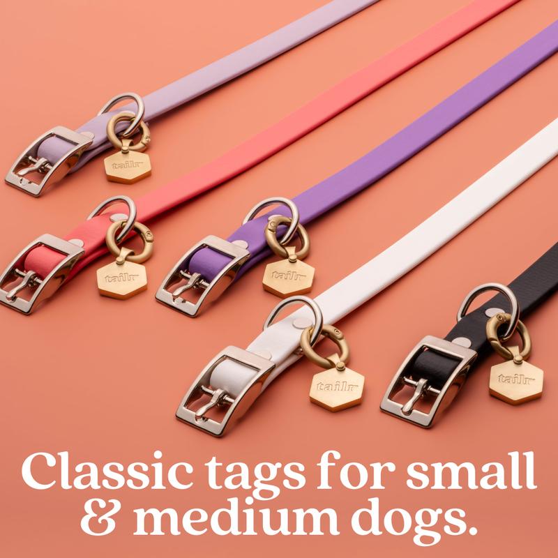 https://cdn-01.yolobuyer.com/products/1730072112634631164/pics/3bd001bfca5047afb47f5b8a62c6a348.jpeg